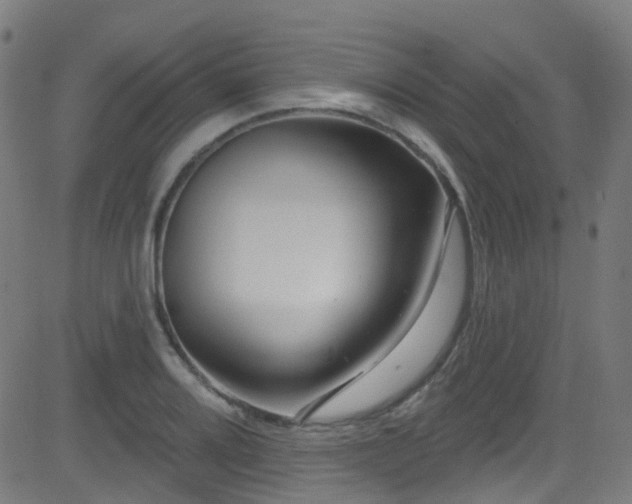 X0000082981080200702011417