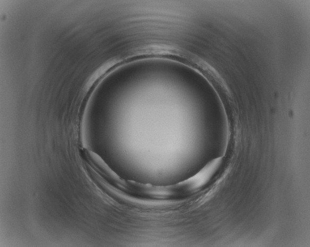 X0000082981081200702011417