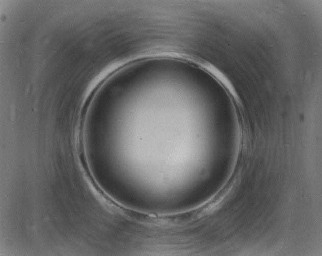 X0000082981101200702011417