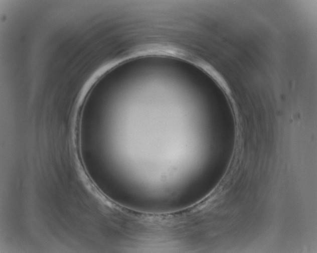 X0000082981104200702011417