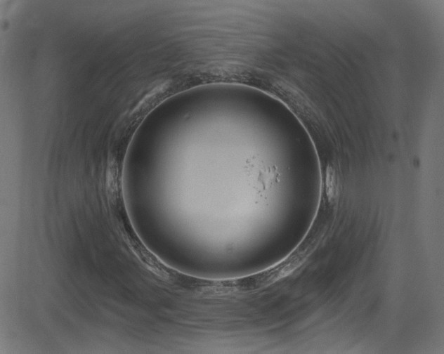 X0000082981107200702011416