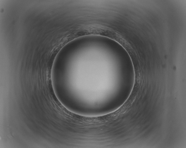 X0000082981108200702011416