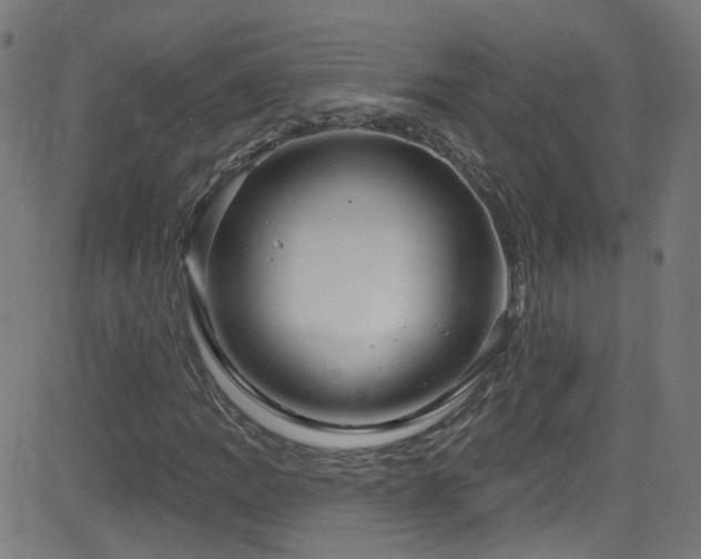 X0000082981109200702011416