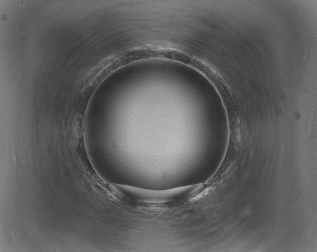X0000082981110200702011416
