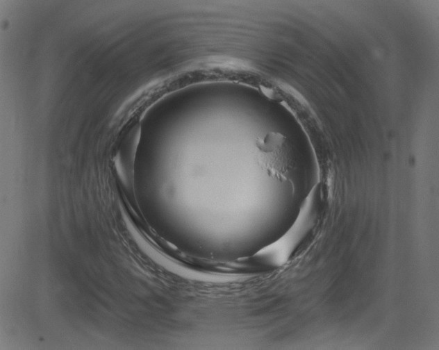 X0000082981112200702011416