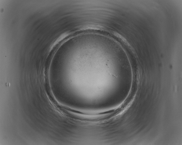 X0000082981113200702011416