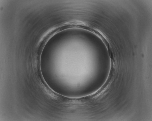 X0000082981115200702011416