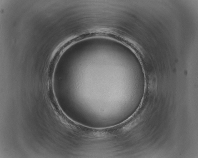 X0000082981117200702011416
