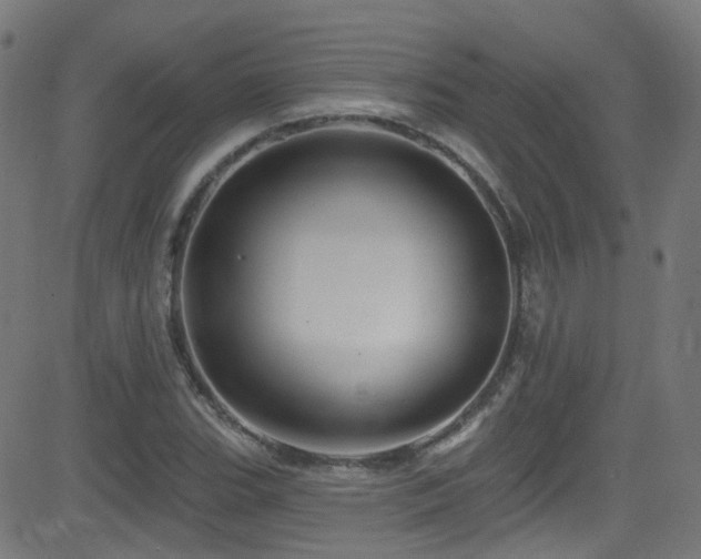 X0000082981119200702011416