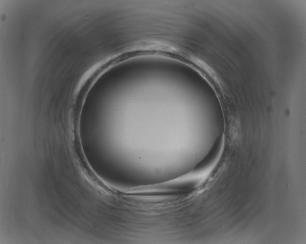 X0000082981120200702011416