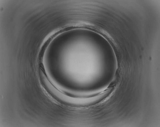 X0000082981122200702011416