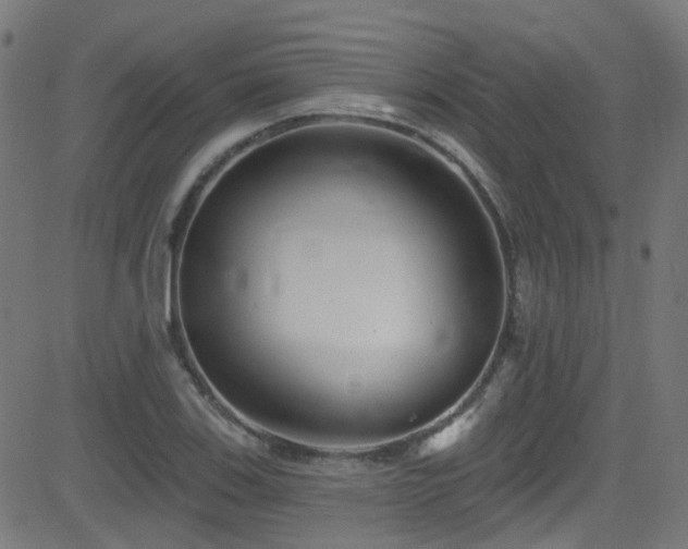 X0000082981123200702011416