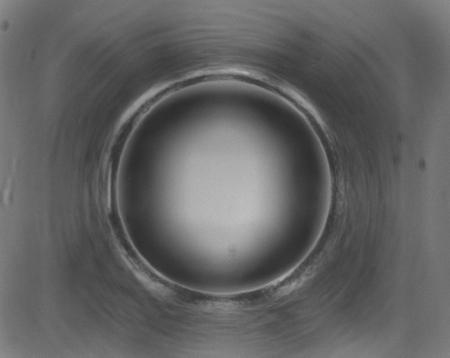 X0000082981127200702011416