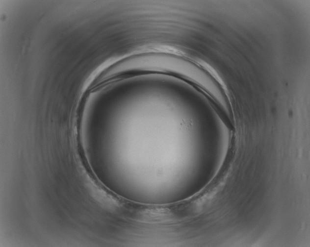 X0000082981133200702011416