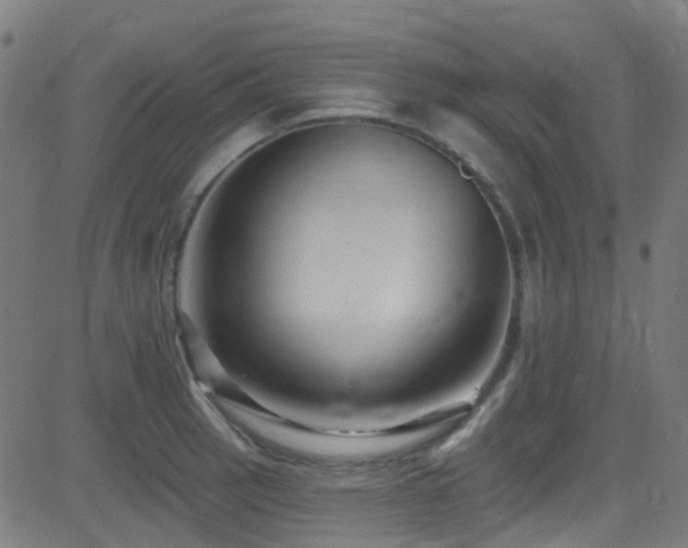 X0000082981137200702011417