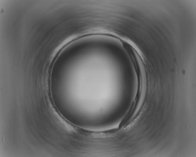 X0000082981142200702011417