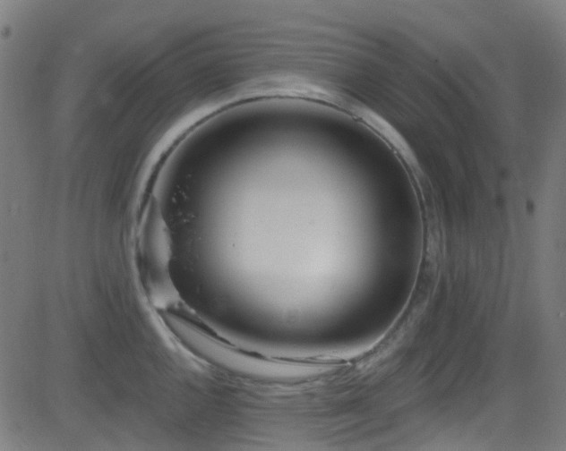 X0000082981144200702011417