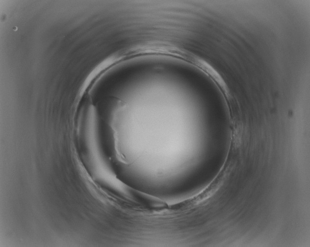 X0000082981146200702011417