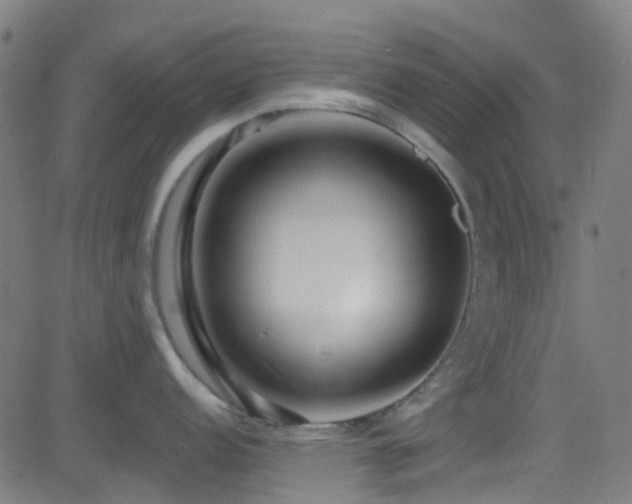 X0000082981152200702011417