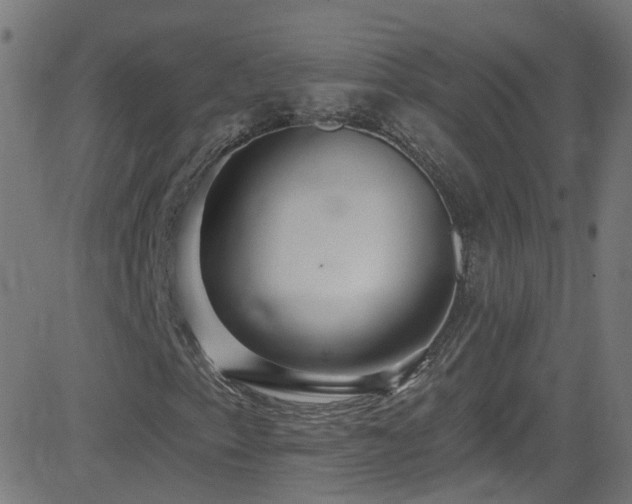 X0000082981153200702011416