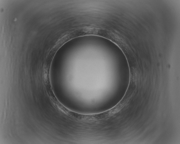 X0000082981154200702011416