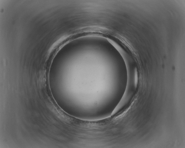X0000082981164200702011416