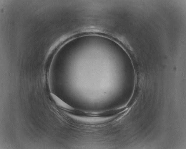 X0000082981167200702011416