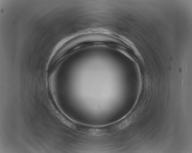 X0000082981176200702011416
