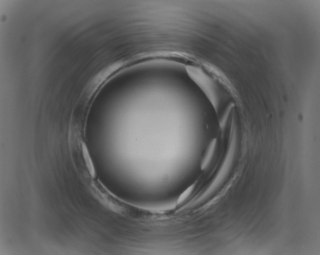X0000082981177200702011416