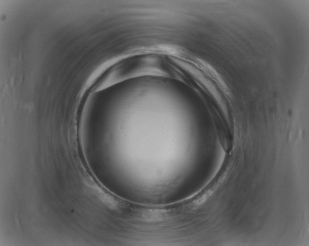 X0000082981184200702011415