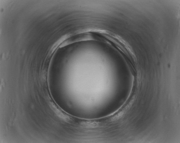 X0000082981185200702011415