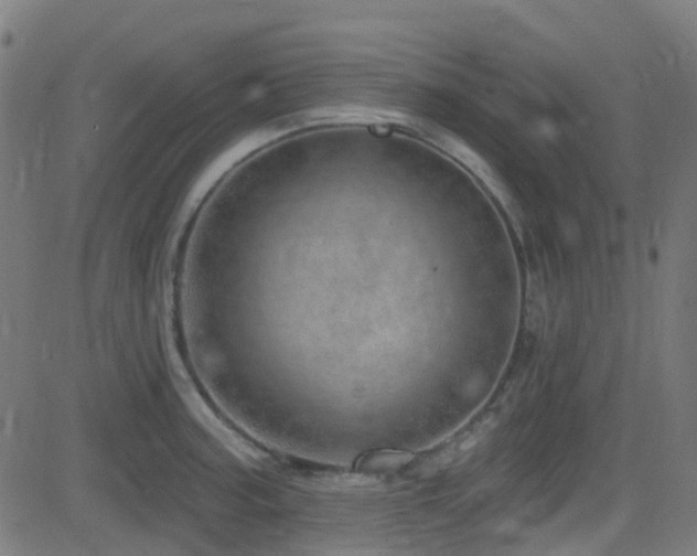 X0000082981187200702011415