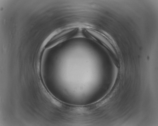 X0000082981188200702011415