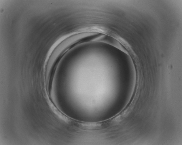X0000082981200200702011415
