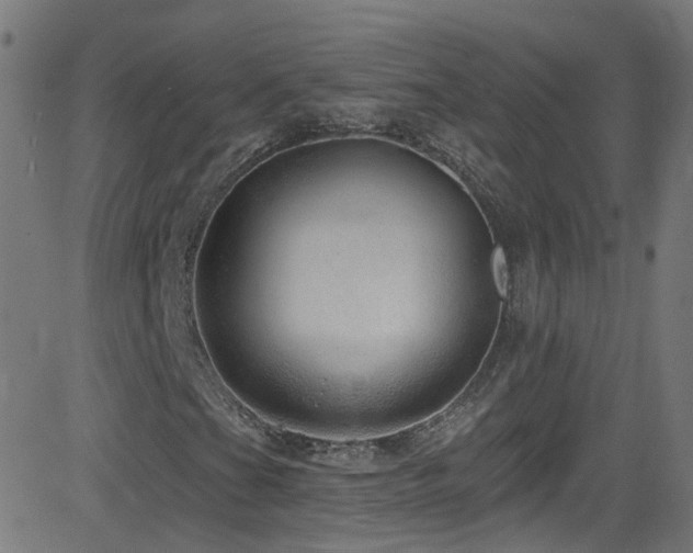 X0000082981201200702011414