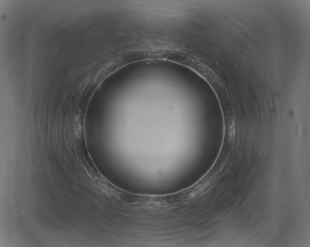 X0000082981204200702011414