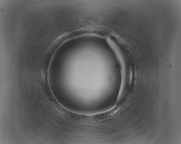 X0000082981206200702011415