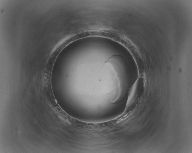 X0000082981208200702011415