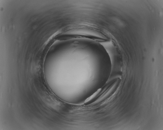 X0000082981210200702011415