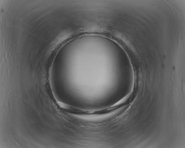 X0000082981213200702011415