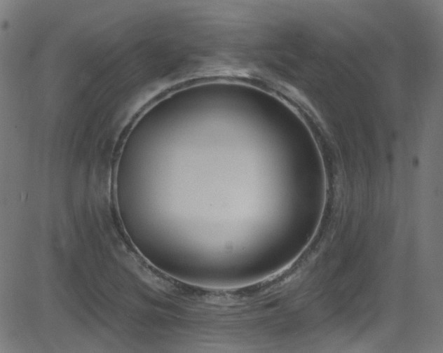 X0000082981220200702011415