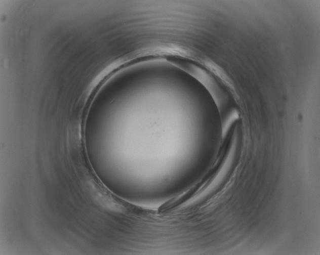 X0000082981226200702011415
