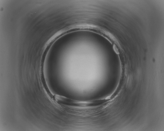 X0000082981229200702011415