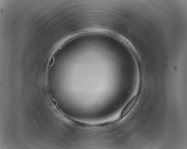 X0000082981236200702011415