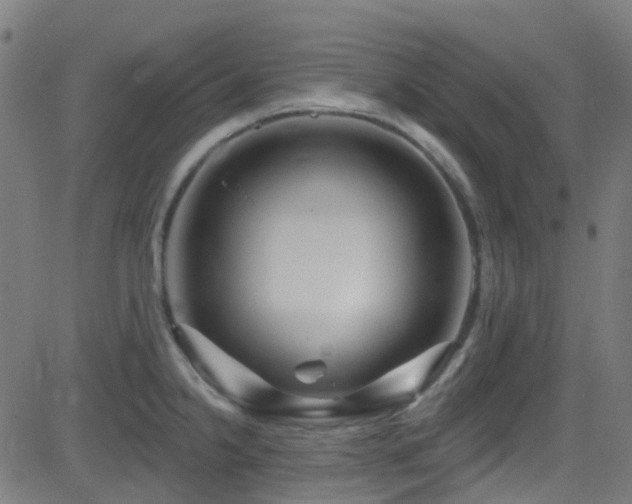 X0000082981238200702011415