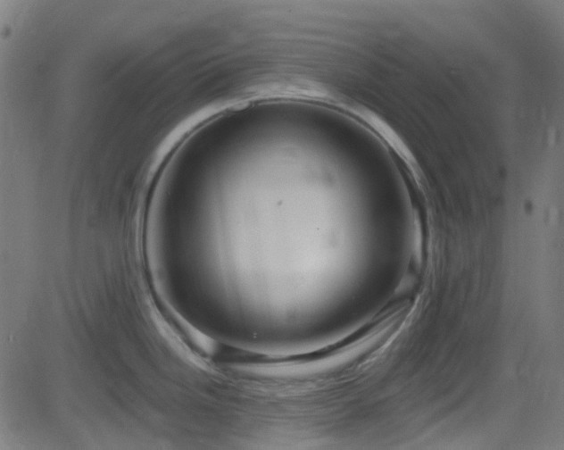 X0000082981246200702011415