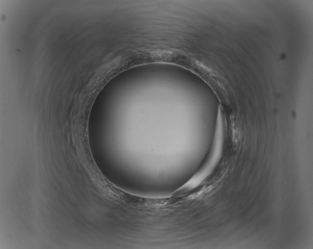 X0000082981249200702011414