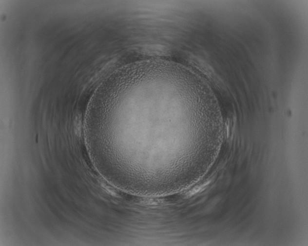 X0000082981251200702011414
