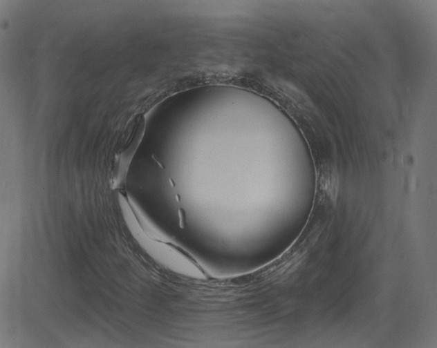 X0000082981252200702011414