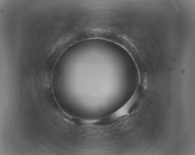 X0000082981253200702011414